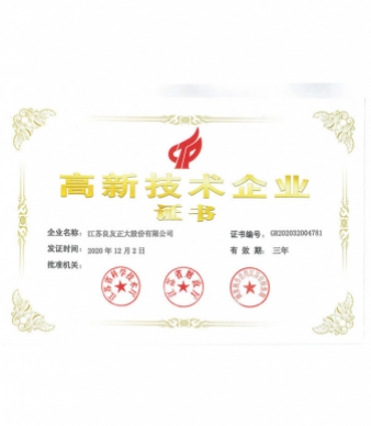 2020 høyteknologisk foretak