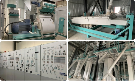 Fullføring og aksept av produksjonslinjen SZLH520 for fjørfe fra Liangyou Co., Ltd.