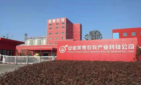 Anhui dual-line SZLH420 husdyr- og fjærfefôrproduksjonslinjeprosjekt ble fullført og satt i produksj